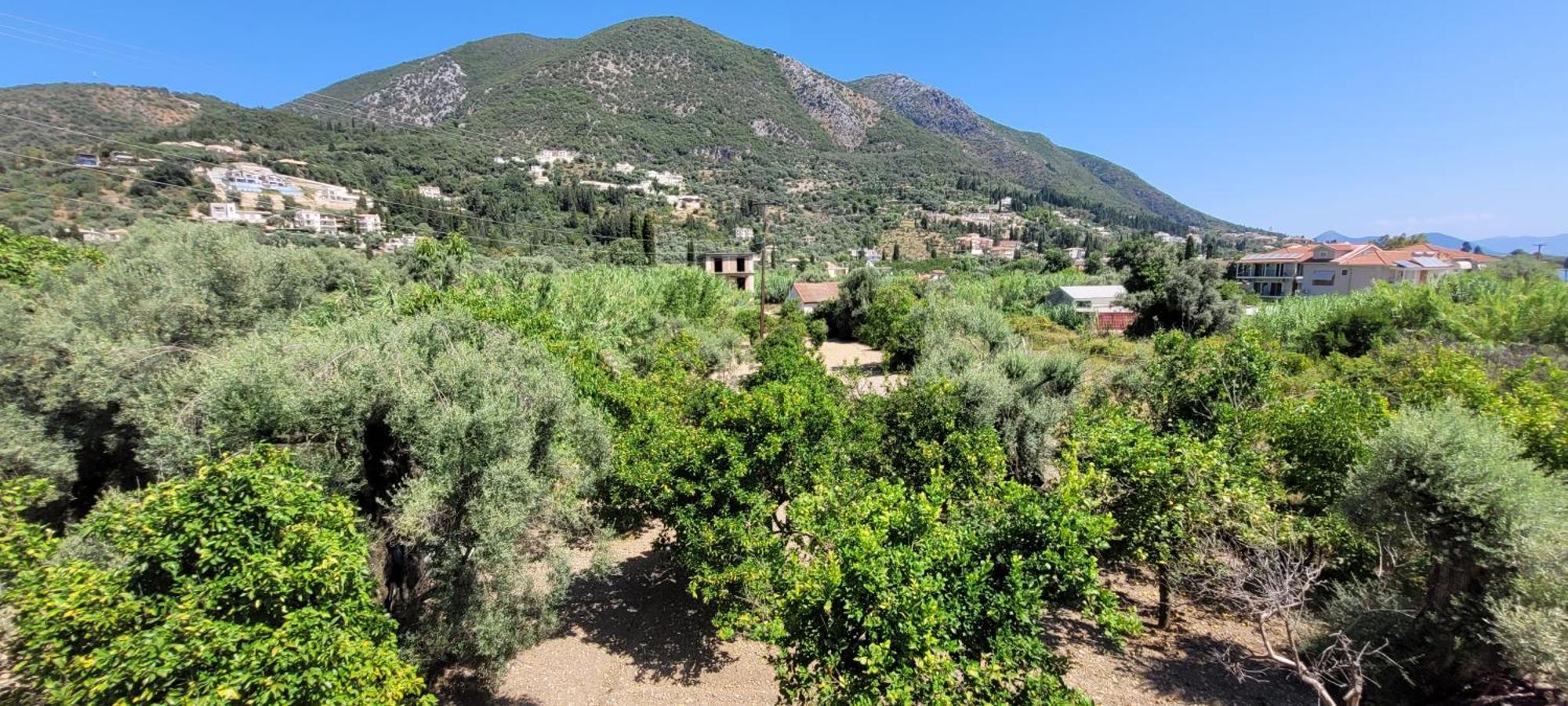Villa Petros نيدري المظهر الخارجي الصورة